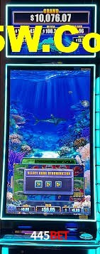 Daily Bonuses 445Bet